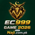 EC999 Game