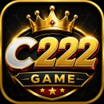C222 Game