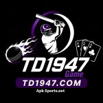 TD1947 Game